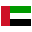 UAE flag